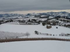 snow on fields